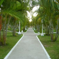 Foto de La Ceiba