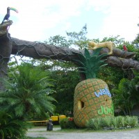 Foto de La Ceiba