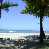 Foto de La Ceiba