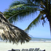 Foto de La Ceiba