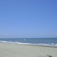 Foto de La Ceiba