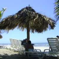 Foto de La Ceiba