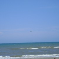 Foto de La Ceiba