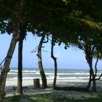 Foto de La Ceiba