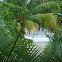 Foto de La Ceiba
