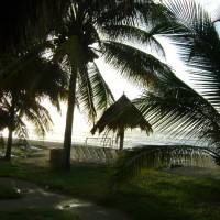 Foto de La Ceiba