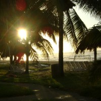 Foto de La Ceiba