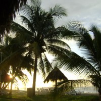 Foto de La Ceiba