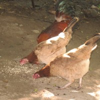 Foto de La Paz