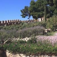 Foto de Almería