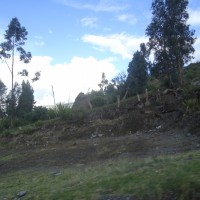 Foto: Choza - Guano