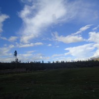 Foto: Paisaje - Guano