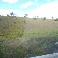 Foto: Sembrios - Guano