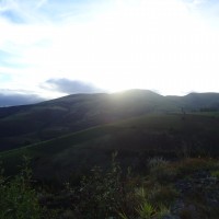 Foto: Paisaje - Guano