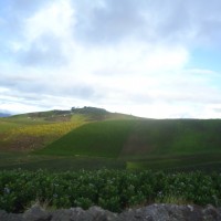 Foto: Sabañag - Quero