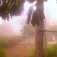 Foto: DIA DE LLUVIA - Kibutz Gbat