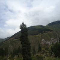 Foto: Paisaje - Puela