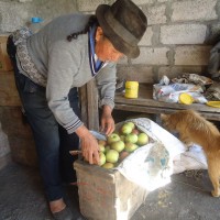 Foto: Empacando manzanas - Bayushig