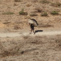 Foto de Dire Dawa