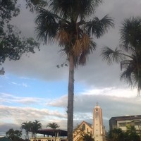 Foto: Catedral de Puyo - Puyo