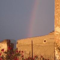 Foto de La Jamula de baza