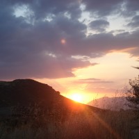 Foto de La Jamula de baza