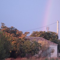 Foto de La Jamula de baza