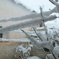 Foto de La Jamula de baza