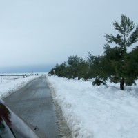 Foto de La Jamula de baza
