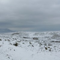 Foto de La Jamula de baza