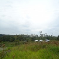 Foto: paisaje - Puyo