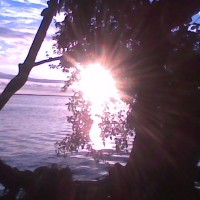 Foto: atardecer - Agraciada