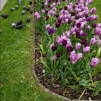Foto: 110504-197 BAD ISCHL - Bad Ischl