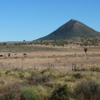 Foto de Taninga
