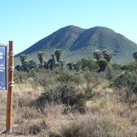 Foto de Taninga