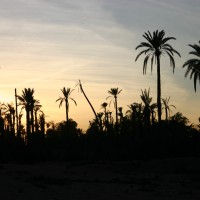 Foto de Marrakech