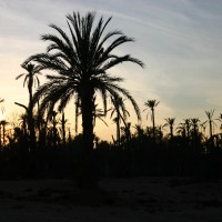 Foto de Marrakech