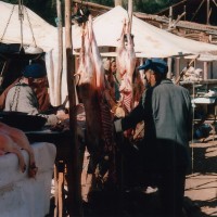 Foto de Ouzoud