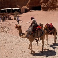 Foto: 090921-236 PETRA, JORDANIA - Petra