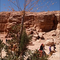 Foto: 090921-237 PETRA, JORDANIA - Petra