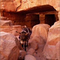 Foto: 090921-319 PETRA, JORDANIA - Petra