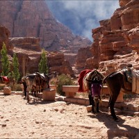 Foto: 090921-325 PETRA, JORDANIA - Petra