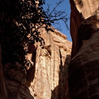 Foto: 090921-351 PETRA, JORDANIA - Petra