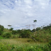 Foto: Paisaje - Simón Bilívar