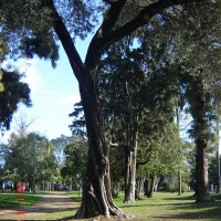 Foto de Tomás Jofré