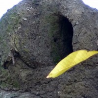 Foto de Tomás Jofré