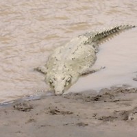Foto de Playa Hermosa