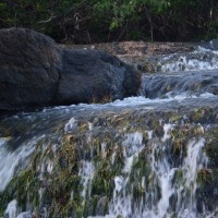 Foto: Pequeñas Cascada en Rio San Pedro - San Pedro del Espino