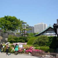 Foto: Jardines Imperiales - Chiyoda