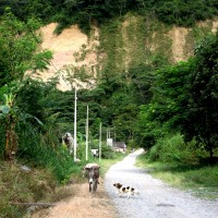 Foto: NARANJAL - Chanchamayo